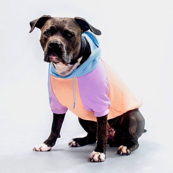 Dog Hoodie - Picture 5 of 8